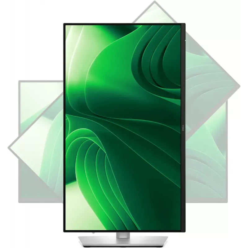 Monitor DELL Pro Plus P2425D 61 cm (24
