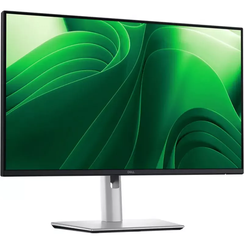 Monitor DELL Pro Plus P2425D 61 cm (24