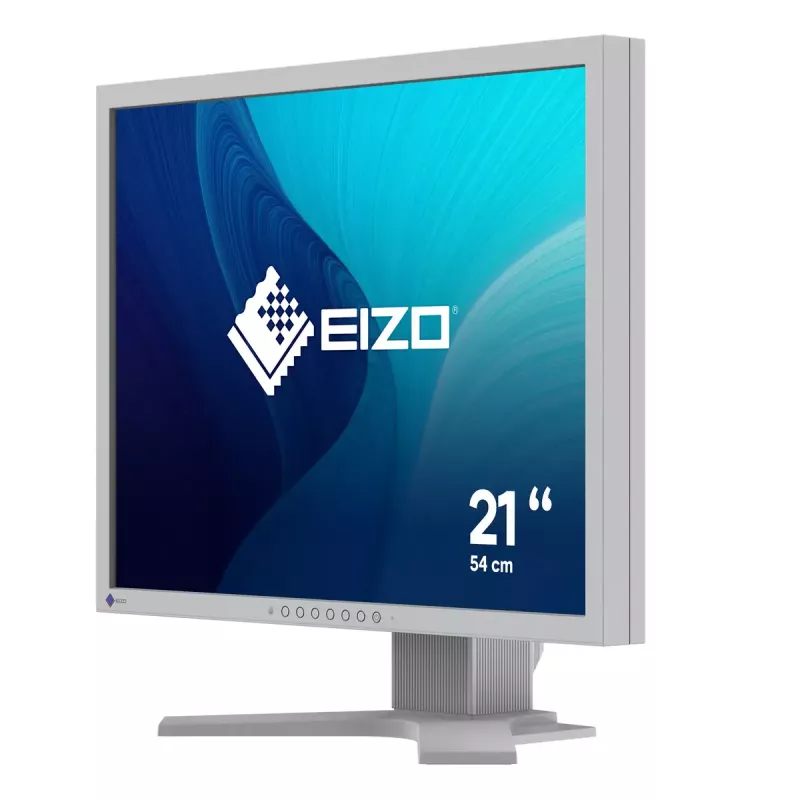 Monitor EIZO FlexScan S2134 21,3 pulgadas LED 1600x1200
