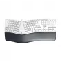 CHERRY KC 4500 ERGO Teclado Universal USB QWERTZ Alemán Blanco