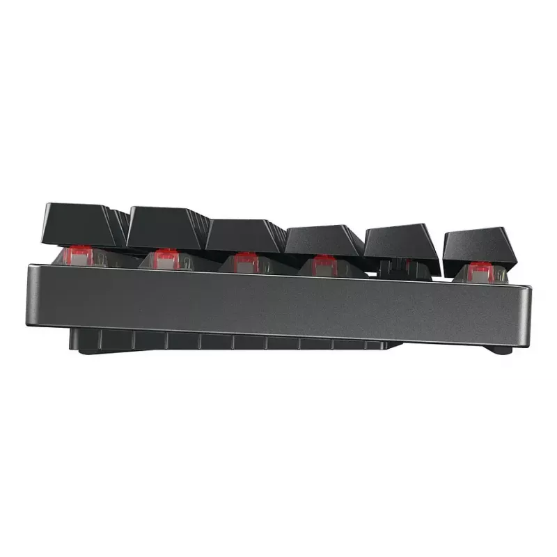 Teclado gaming CHERRY MX 8.2 TKL Wireless RGB USB + RF inalámbrico + Bluetooth QWERTZ alemán negro
