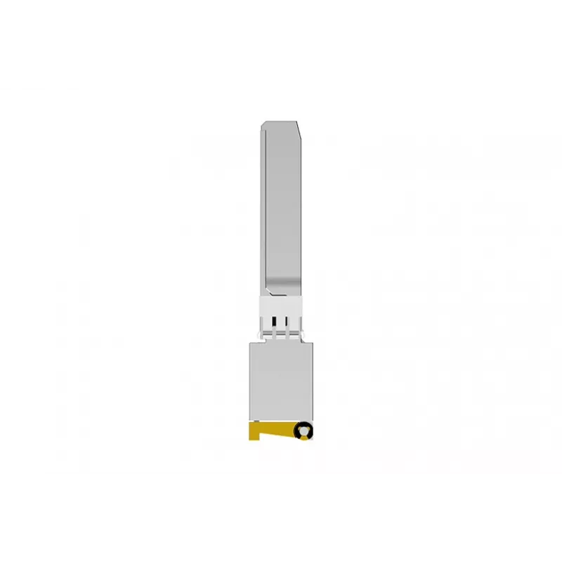 NETGEAR AXM765 SFP+ 10GBase-T RJ-45 módulo transceptor, hasta 80 m