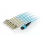Equip cable de conexión troncal de fibra óptica MTP/LC, OM4, 5 m