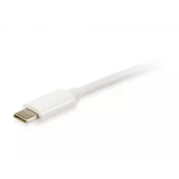Cable Equip Platinum USB Type-C, 2 m, USB C, USB C, USB 3.2 Gen 2 (3.1 Gen 2), 10 Gbit/s, Blanco