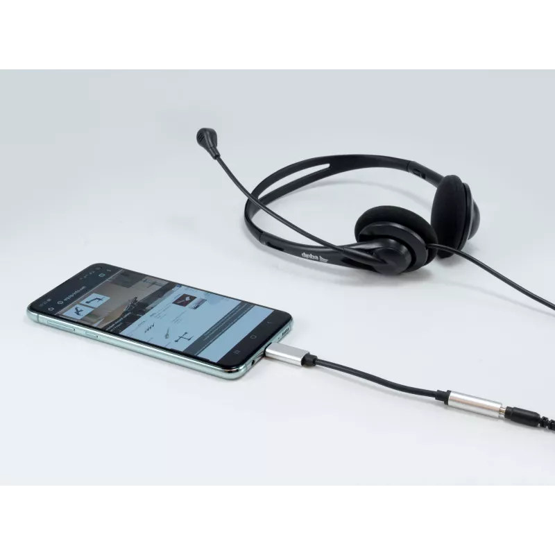 Adaptador DAC de audio USB-C a 3,5 mm Equip