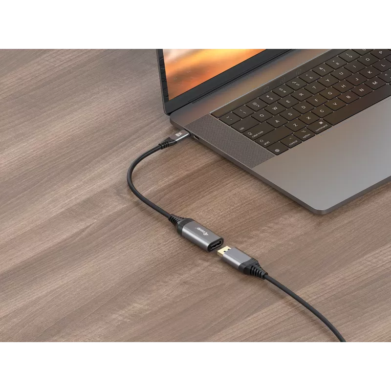Adaptador Equip USB-C a DisplayPort 1.4 8K 30Hz 0,15 m