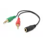 Equip Cable divisor de audio, negro, 3,5 mm, 2 x 3,5 mm, conector hembra, conector macho, policloruro de vinilo (PVC)