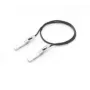 Cable InfiniBand/fibra óptica Cisco SFP-H25G-CU1M= 1 m