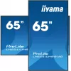 Pantalla de señalización iiyama LH6541UHS-B1AG 163,8 cm (64,5