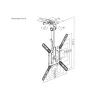Equip soporte de techo para TV de 23