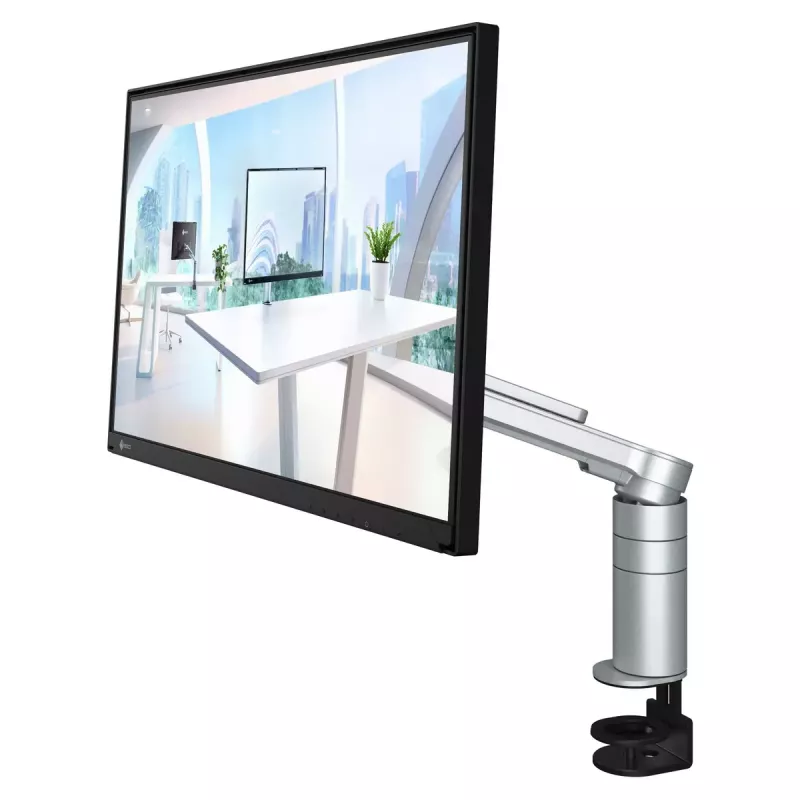 EIZO FlexScan FLT monitor de ordenador 60,5 cm (23,8