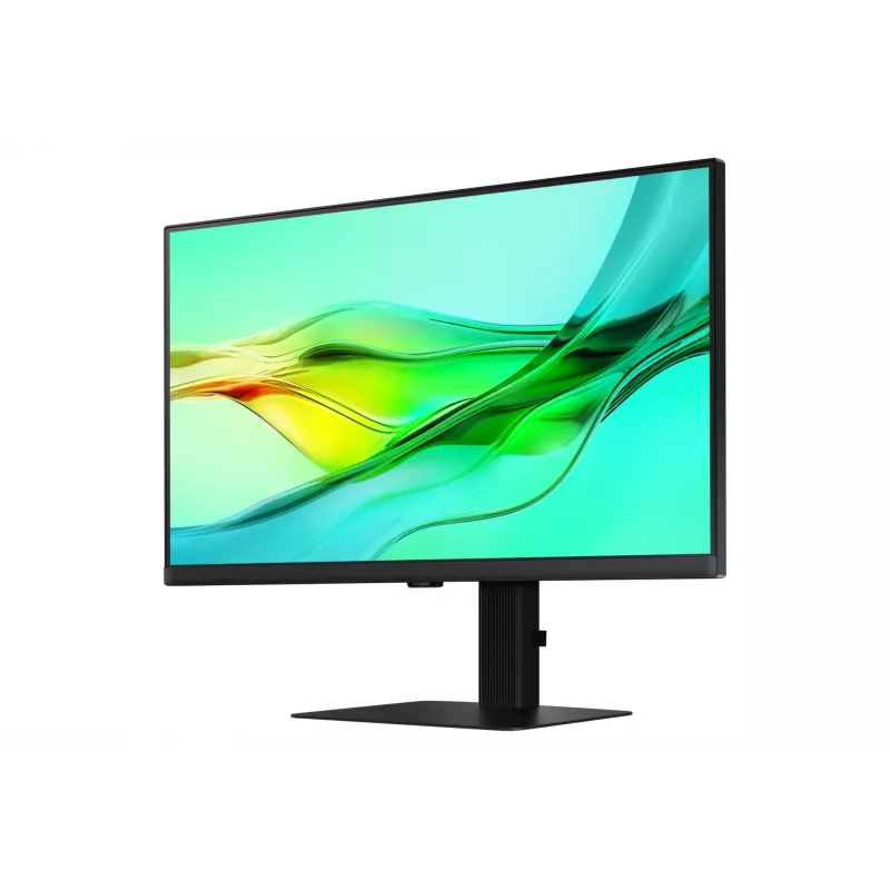Monitor Samsung S24D604UAU 61 cm (24