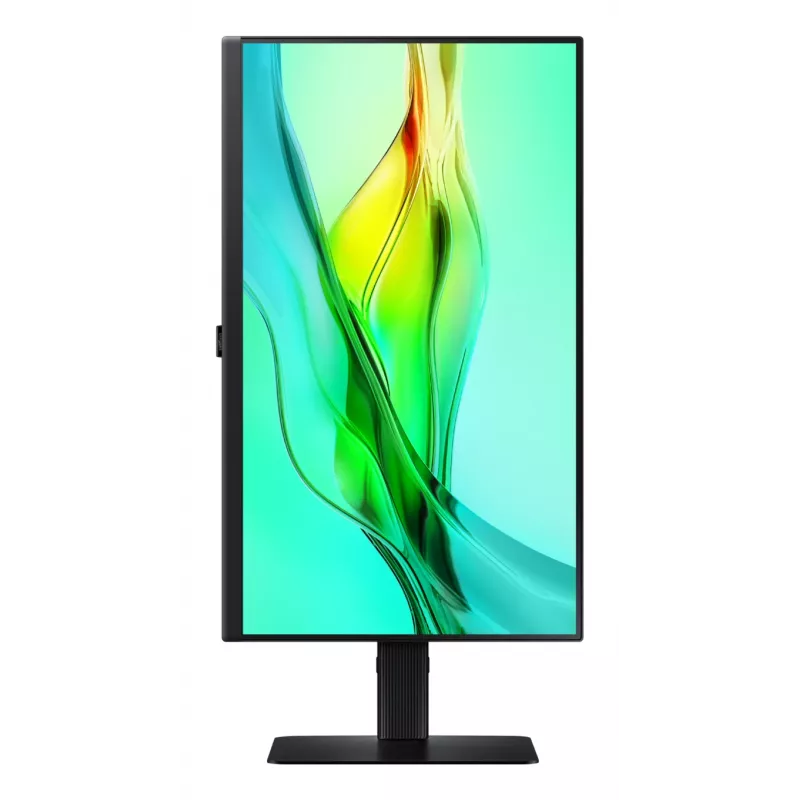 Monitor Samsung S24D604UAU 61 cm (24