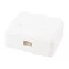 Caja de superficie para 2 conectores Keystone Equip 125124