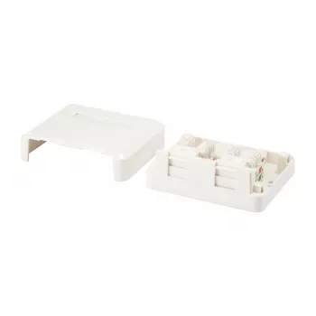 Caja de superficie para 2 conectores Keystone Equip 125124