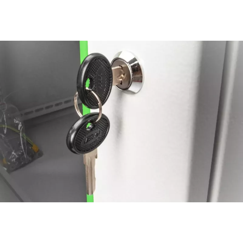 DIGITUS DN-19-KEY-4444 llave de cierre tipo 4444 para armarios de pared SOHO PRO DN-1019 / DN-DVR-1, negro/plateado, 2 uds.