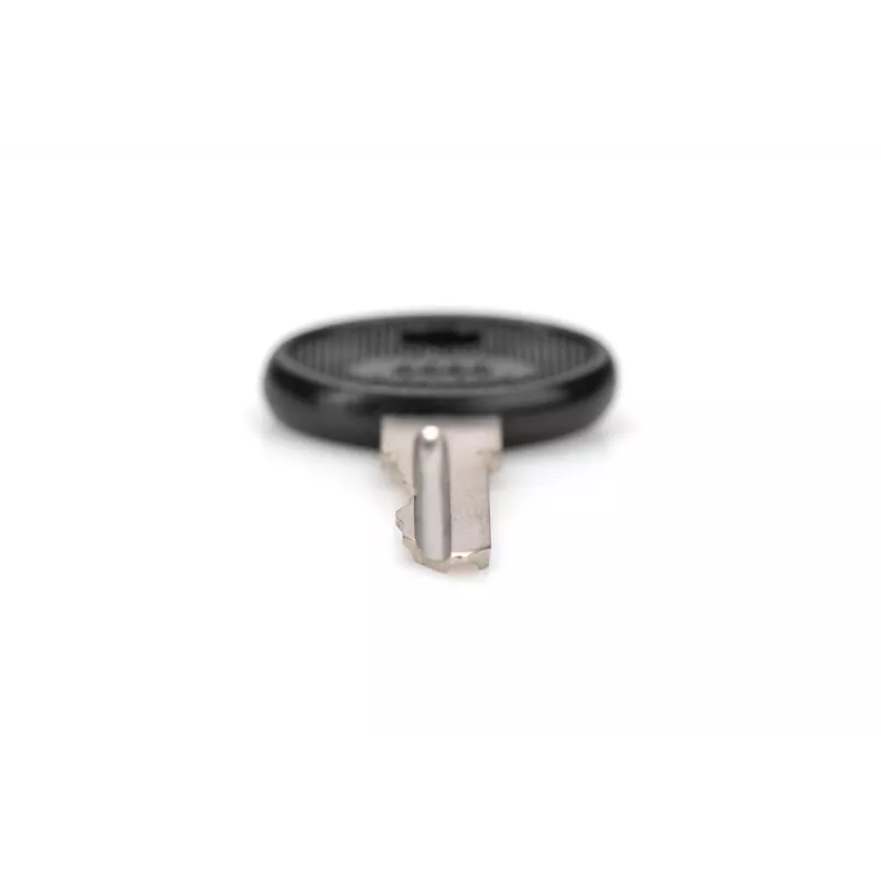 DIGITUS DN-19-KEY-4444 llave de cierre tipo 4444 para armarios de pared SOHO PRO DN-1019 / DN-DVR-1, negro/plateado, 2 uds.
