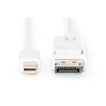 Cable de conexión DisplayPort DIGITUS, Mini DP - DP M/M, 2 m con bloqueo, conforme a DP 1.1a, blanco