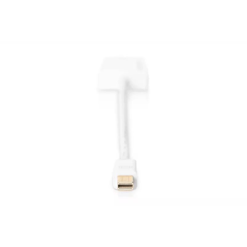 Cable adaptador DisplayPort DIGITUS ASSMANN, Mini DP - HDMI tipo A M/H, 20 cm HDMI ver. 2.0, activo, CE, dorado, blanco