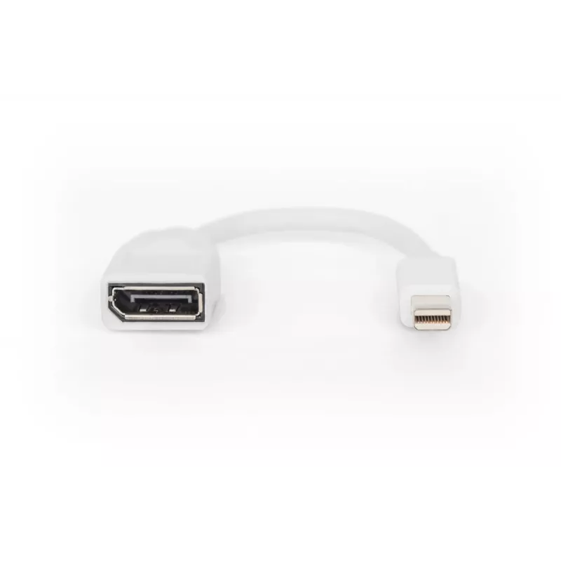 Cable adaptador DisplayPort DIGITUS, Mini DP - DP M/H, 0,15 m, conforme a DP 1.2, blanco