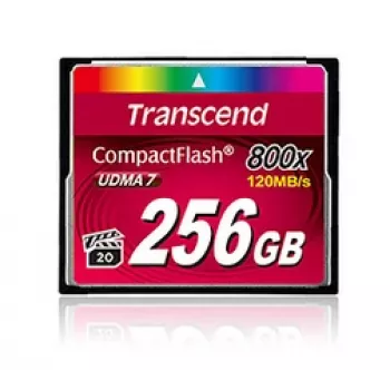 TRANSCEND tarjeta Cf Cf800 256GB 800x Premium