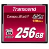 TRANSCEND tarjeta Cf Cf800 256GB 800x Premium