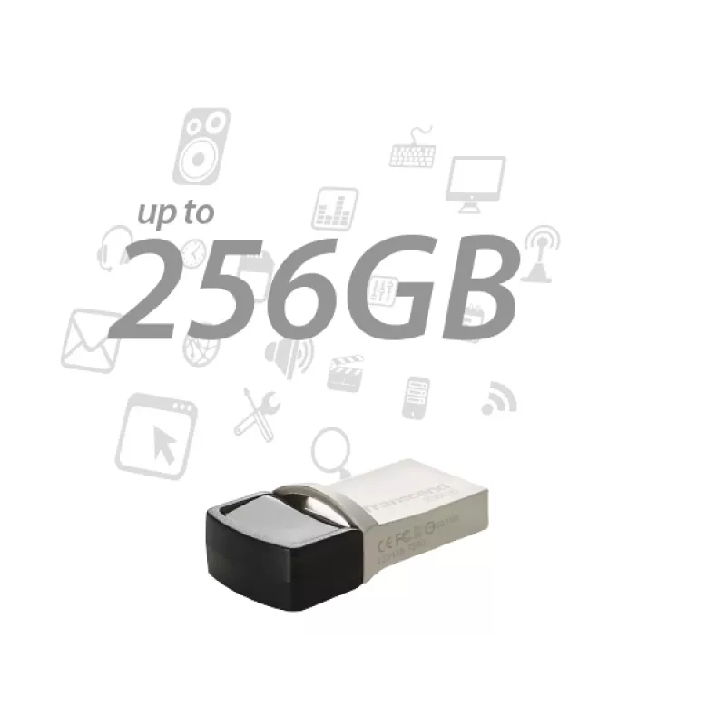 TRANSCEND JetFlash 890 - 256GB USB - USB 3.1 / Type-C