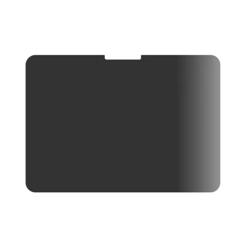 PanzerGlass Privacy protector de pantalla para iPad Pro de 11 pulgadas (2024) M4, Ultra-Wide Fit, cristal, marco negro