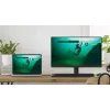 DELL SE2425HM Monitor 60,5 cm (23,8