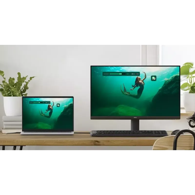 DELL SE2425HM Monitor 60,5 cm (23,8