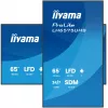 iiyama LH6575UHS-B2AG Pantalla digital Signage 163,8 cm (64,5
