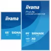 iiyama LH6581UHSG-1AG Pantalla de señalización digital plano 163,8 cm (64,5 inch) Wi-Fi 500 cd/m² 4K Ultra HD blanco procesador integrado Android 24/7