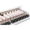 DIGITUS Patch Panel CAT6A EA apantallado, 24 puertos RJ45 protección antipolvo, 8P8C, 0,5U, gris RAL 7035