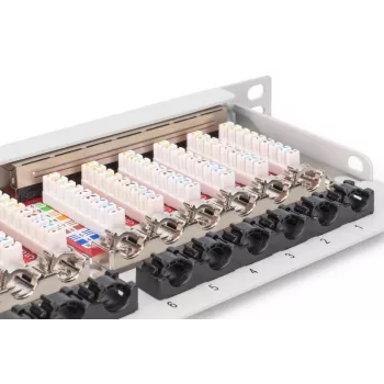 DIGITUS Patch Panel CAT6A EA apantallado, 24 puertos RJ45 protección antipolvo, 8P8C, 0,5U, gris RAL 7035