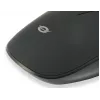 Conceptronic REGAS01B ratón de oficina ambidiestro USB Type-A óptico 1200 DPI