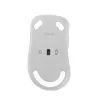 ASUS Wireless MD102 ratón universal diestro RF Wireless + Bluetooth óptico 1600 DPI