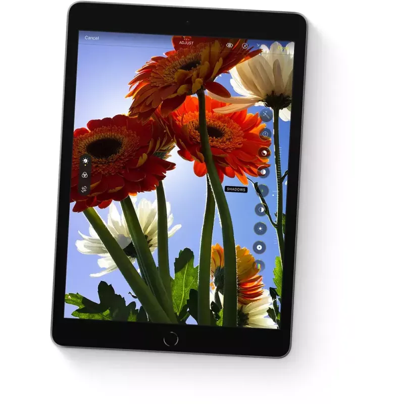 Tableta Apple iPad 10,2" de 9.ª generación 256 GB Wi-Fi (802.11ac), 25,9 cm, A13, iPadOS 15, 8 MP/12 MP, gris (MK2N3FD/A)