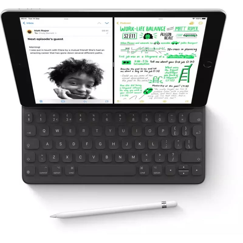 Tableta Apple iPad 10,2" de 9.ª generación 256 GB Wi-Fi (802.11ac), 25,9 cm, A13, iPadOS 15, 8 MP/12 MP, gris (MK2N3FD/A)