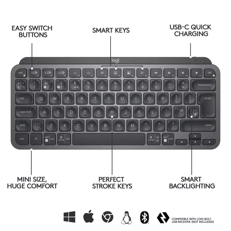 Teclado LOGITECH Minimalist Wireless Illuminated - MX KEYS MINI - Grafito - Qwertz Alemán