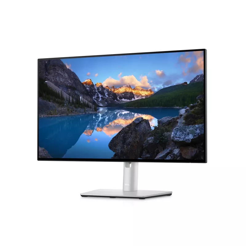 Monitor DELL UltraSharp 24 USB-C Hub – U2422HE, 61 cm (24