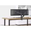 Brazo para monitor Neomounts DS70-700BL2 17-27 inch - gas, soporte de pinza, 7 kg, 43,2 cm (17 inch), 68,6 cm (27 inch), 100 x 100 mm, negro