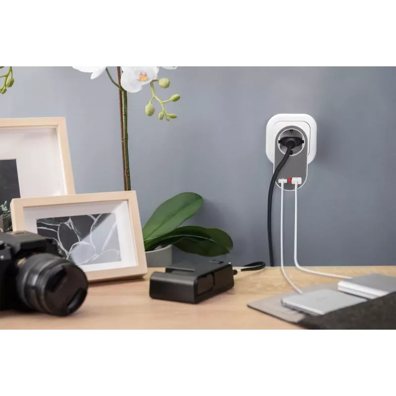 DIGITUS Fuente de alimentación con 2 puertos USB 250V, 50 Hz, USB: 5V, 2,1A, blanco / gris