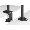 DIGITUS brazo para monitor con soporte para portátil 17-32 pulgadas, 9 kg máx. - pinza de mesa o pasacables