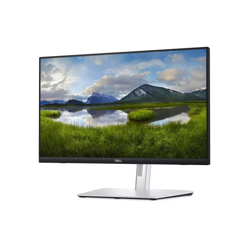 Monitor DELL P Series P2424HT 60,5 cm (23,8