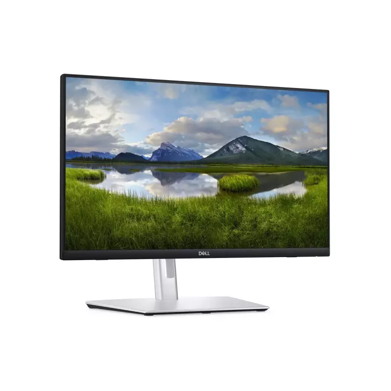 Monitor DELL P Series P2424HT 60,5 cm (23,8