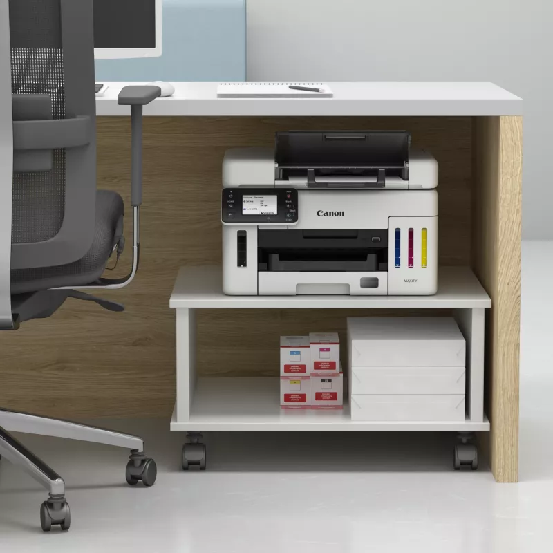 Canon MAXIFY GX6550 Inyección de tinta A4 600 x 1200 DPI WLAN
