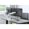 Brazo para monitor Neomounts DS70S-950WH2 17-35