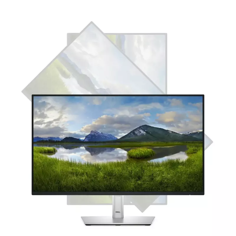 DELL Pro Plus P2425HE Monitor de ordenador 60,5 cm (23,8