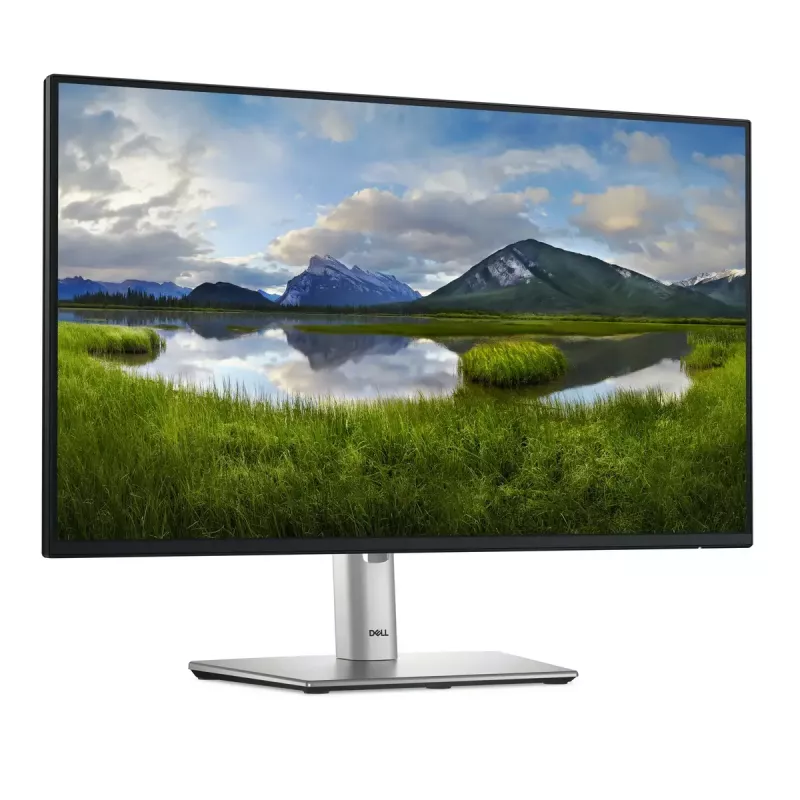 DELL Pro Plus P2425HE Monitor de ordenador 60,5 cm (23,8