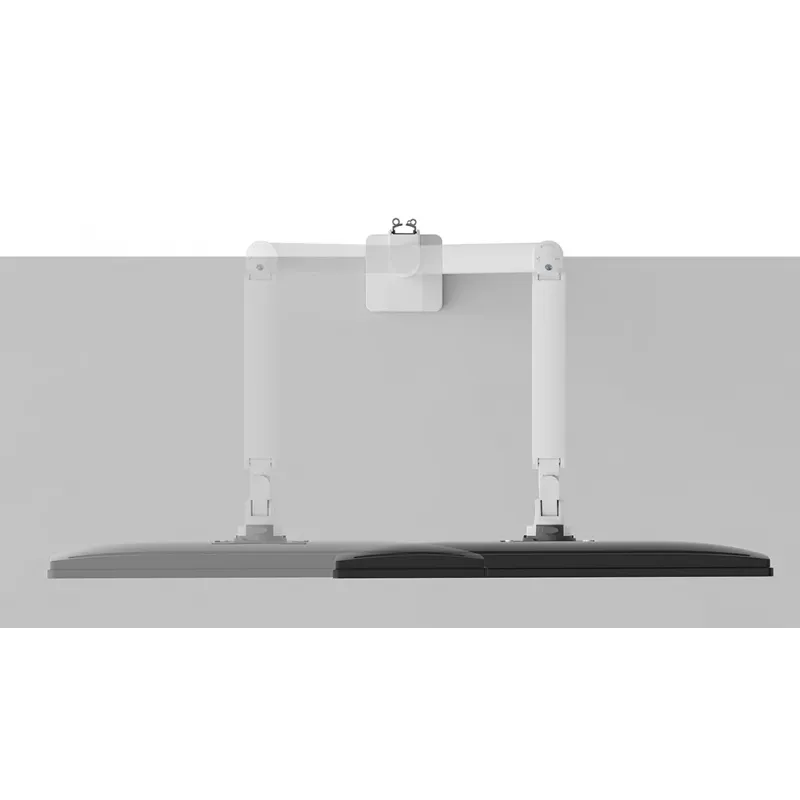 Brazo de monitor Neomounts DS70-250WH1 17-35